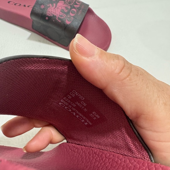 Coach Slides